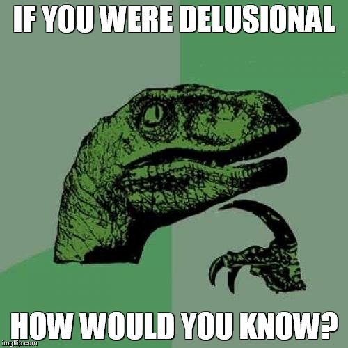 Philosoraptor Meme | IF YOU WERE DELUSIONAL HOW WOULD YOU KNOW? | image tagged in memes,philosoraptor | made w/ Imgflip meme maker