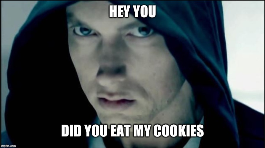 HEY YOU DID YOU EAT MY COOKIES | image tagged in hey you | made w/ Imgflip meme maker