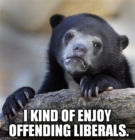 Confession Bear Meme | I KIND OF ENJOY OFFENDING LIBERALS. | image tagged in memes,confession bear | made w/ Imgflip meme maker