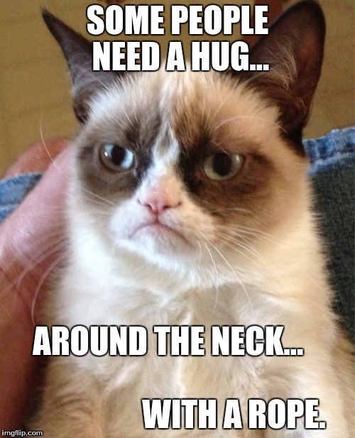 Grumpy Cat Meme | SOME PEOPLE NEED A HUG... AROUND THE NECK...                                             
WITH A ROPE. | image tagged in memes,grumpy cat | made w/ Imgflip meme maker
