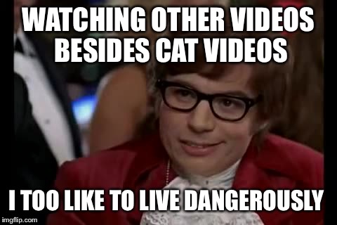 I Too Like To Live Dangerously Meme | WATCHING OTHER VIDEOS BESIDES CAT VIDEOS I TOO LIKE TO LIVE DANGEROUSLY | image tagged in memes,i too like to live dangerously | made w/ Imgflip meme maker