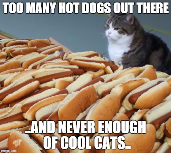 Cat Hot Dogs | TOO MANY HOT DOGS OUT THERE ..AND NEVER ENOUGH OF COOL CATS.. | image tagged in cat hot dogs | made w/ Imgflip meme maker