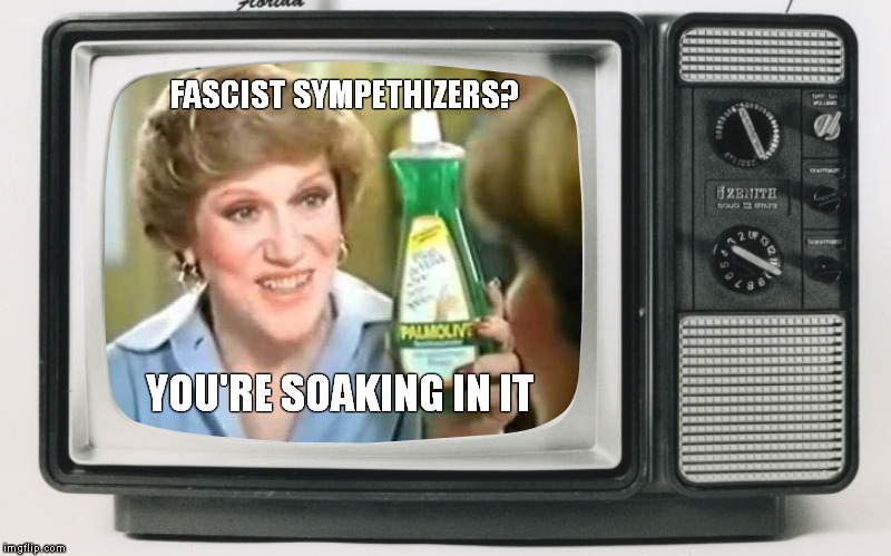 DUMP the TRUMP
 | FASCIST SYMPETHIZERS? YOU'RE SOAKING IN IT | image tagged in dump the trump,x you're soaking in it | made w/ Imgflip meme maker