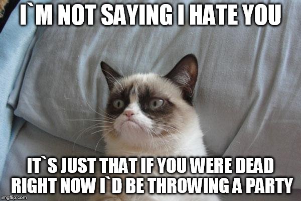 grumpy cat loves your death | I`M NOT SAYING I HATE YOU IT`S JUST THAT IF YOU WERE DEAD RIGHT NOW I`D BE THROWING A PARTY | image tagged in memes,grumpy cat bed,grumpy cat | made w/ Imgflip meme maker