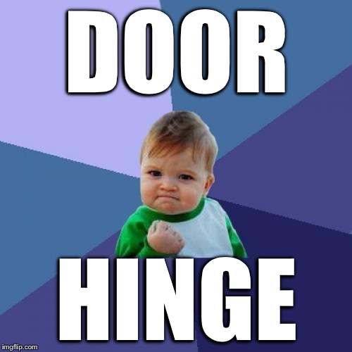 Success Kid Meme | DOOR HINGE | image tagged in memes,success kid | made w/ Imgflip meme maker