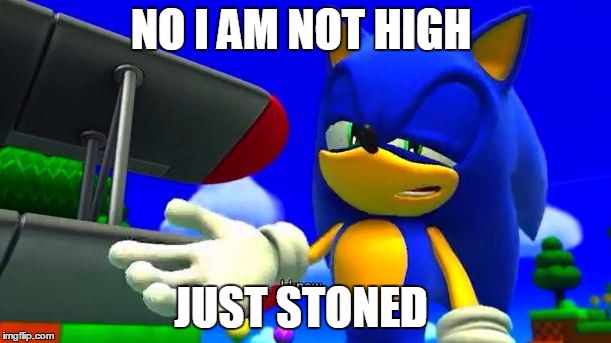 high  | NO I AM NOT HIGH JUST STONED | image tagged in sonic the hedgehog | made w/ Imgflip meme maker