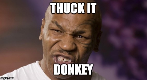 Mike Tyson NYE | THUCK IT DONKEY | image tagged in mike tyson nye | made w/ Imgflip meme maker