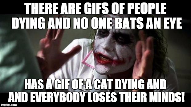 Joker Mind Loss | THERE ARE GIFS OF PEOPLE DYING AND NO ONE BATS AN EYE HAS A GIF OF A CAT DYING AND AND EVERYBODY LOSES THEIR MINDS! | image tagged in joker mind loss,AdviceAnimals | made w/ Imgflip meme maker
