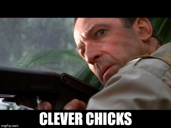 CLEVER CHICKS | made w/ Imgflip meme maker