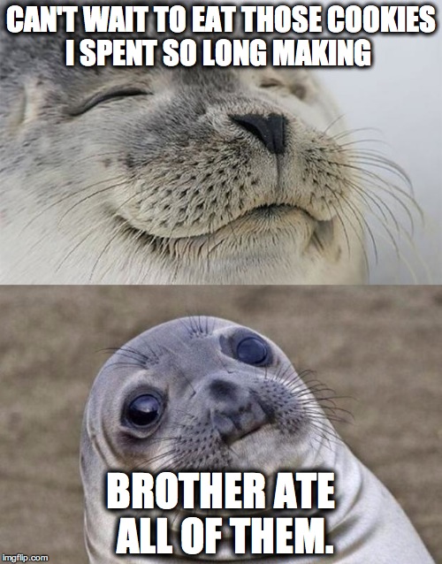 Short Satisfaction VS Truth Meme | CAN'T WAIT TO EAT THOSE COOKIES I SPENT SO LONG MAKING BROTHER ATE ALL OF THEM. | image tagged in memes,short satisfaction vs truth | made w/ Imgflip meme maker
