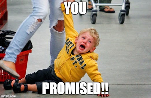 You promised! | YOU PROMISED!! | image tagged in funny | made w/ Imgflip meme maker