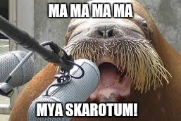 MA MA MA MA MYA SKAROTUM! | made w/ Imgflip meme maker