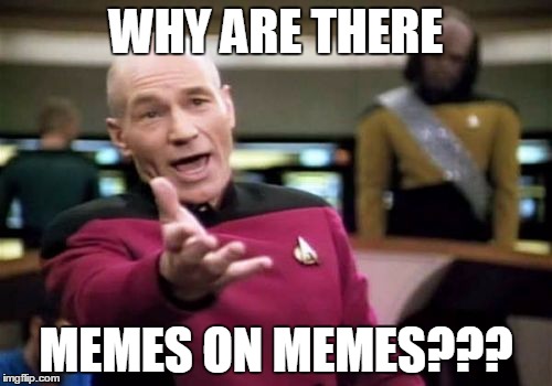 Picard Wtf | WHY ARE THERE MEMES ON MEMES??? | image tagged in memes,picard wtf | made w/ Imgflip meme maker