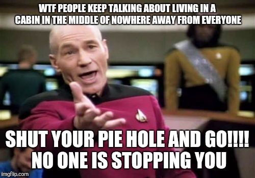 Picard Wtf | WTF PEOPLE KEEP TALKING ABOUT LIVING IN A CABIN IN THE MIDDLE OF NOWHERE AWAY FROM EVERYONE SHUT YOUR PIE HOLE AND GO!!!! NO ONE IS STOPPING | image tagged in memes,picard wtf | made w/ Imgflip meme maker