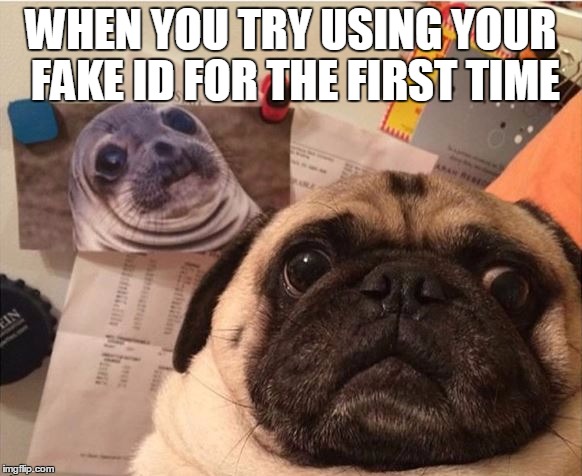 No, really....that's me | WHEN YOU TRY USING YOUR FAKE ID FOR THE FIRST TIME | image tagged in funny,meme,memes,awkward moment sealion,pugs,pug | made w/ Imgflip meme maker