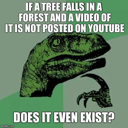 Philosoraptor | IF A TREE FALLS IN A FOREST AND A VIDEO OF IT IS NOT POSTED ON YOUTUBE DOES IT EVEN EXIST? | image tagged in memes,philosoraptor | made w/ Imgflip meme maker