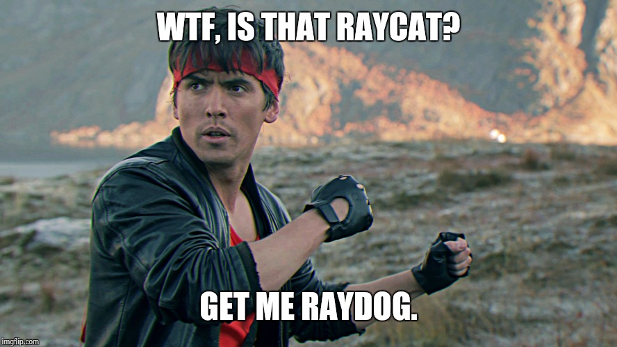 Kung Fury | WTF, IS THAT RAYCAT? GET ME RAYDOG. | image tagged in kung fury | made w/ Imgflip meme maker