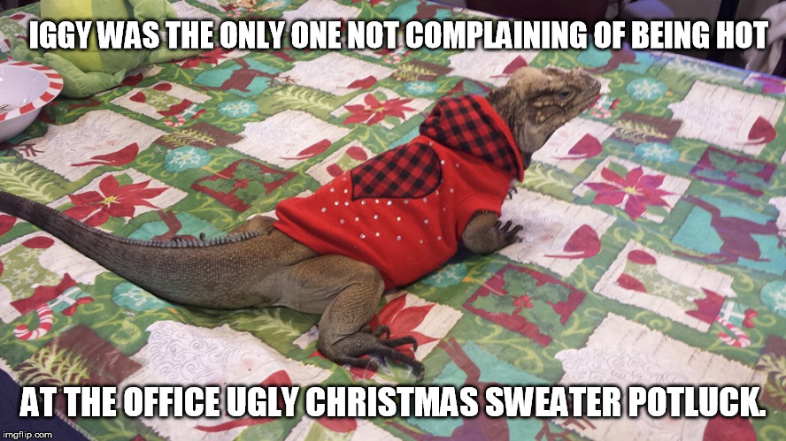 The Gecko didn't even bother to show. | IGGY WAS THE ONLY ONE NOT COMPLAINING OF BEING HOT AT THE OFFICE UGLY CHRISTMAS SWEATER POTLUCK. | image tagged in iguana | made w/ Imgflip meme maker