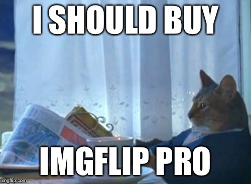 Put ideas in the comments on how to improve imgflip revenue generation in 2016 | I SHOULD BUY IMGFLIP PRO | image tagged in i should buy a boat cat,memes,imgflip | made w/ Imgflip meme maker