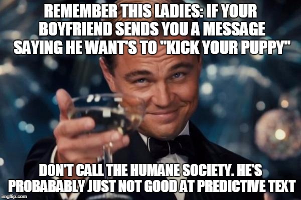 Leonardo Dicaprio Cheers Meme | REMEMBER THIS LADIES: IF YOUR BOYFRIEND SENDS YOU A MESSAGE SAYING HE WANT'S TO "KICK YOUR PUPPY" DON'T CALL THE HUMANE SOCIETY. HE'S PROBAB | image tagged in memes,leonardo dicaprio cheers | made w/ Imgflip meme maker