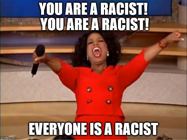 Oprah You Get A Meme | YOU ARE A RACIST! YOU ARE A RACIST! EVERYONE IS A RACIST | image tagged in memes,oprah you get a | made w/ Imgflip meme maker