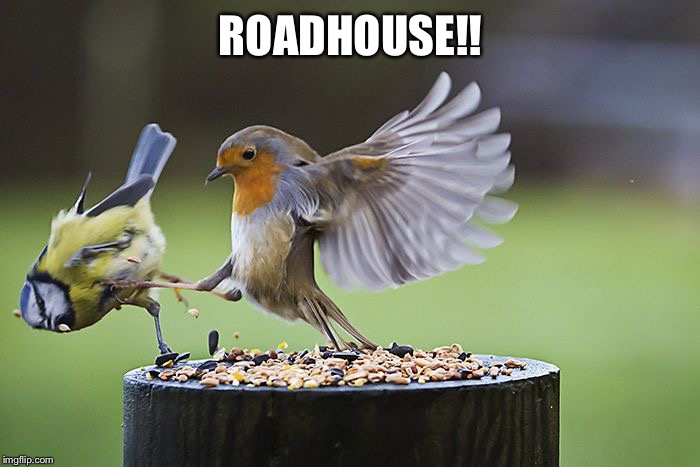 Kicking Sparrow | ROADHOUSE!! | image tagged in kicking sparrow | made w/ Imgflip meme maker