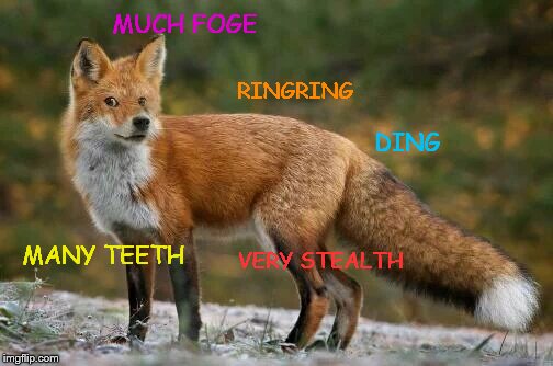 The Foge | MUCH FOGE MANY TEETH RINGRING VERY STEALTH DING | image tagged in doge,fox,wow | made w/ Imgflip meme maker