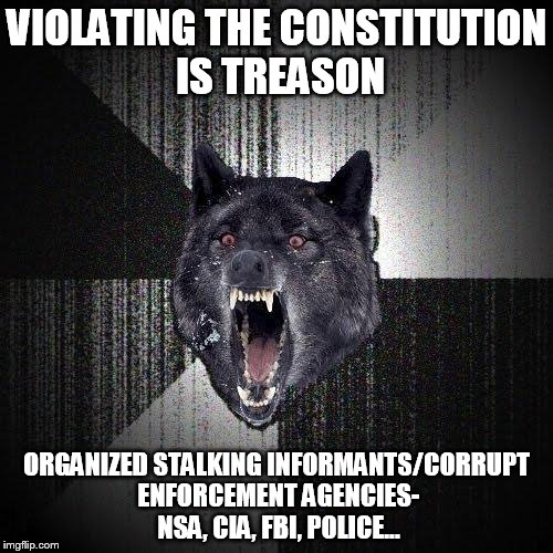 Insanity Wolf hates unconstitutional, hypocrite, un-American, real homeland domestic terrorist.  | VIOLATING THE CONSTITUTION IS TREASON ORGANIZED STALKING INFORMANTS/CORRUPT ENFORCEMENT AGENCIES- NSA, CIA, FBI, POLICE... | image tagged in memes,insanity wolf | made w/ Imgflip meme maker