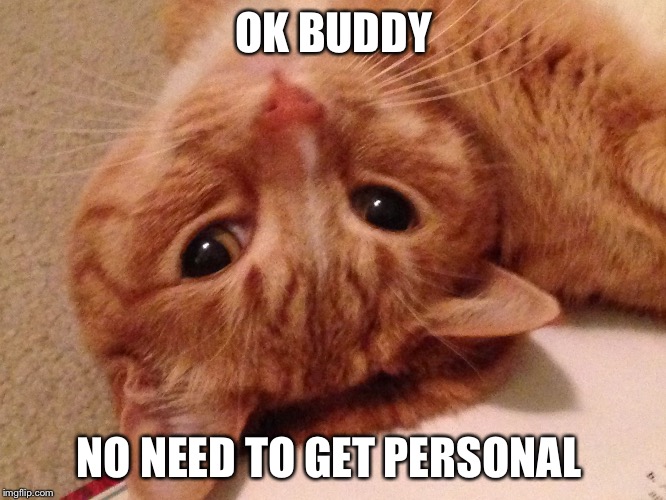 OK BUDDY NO NEED TO GET PERSONAL | image tagged in weird cat | made w/ Imgflip meme maker