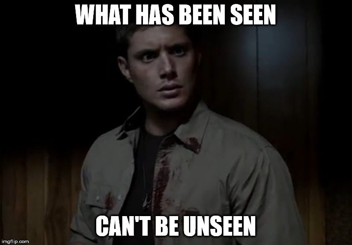 What has been seen | WHAT HAS BEEN SEEN CAN'T BE UNSEEN | image tagged in supernatural | made w/ Imgflip meme maker