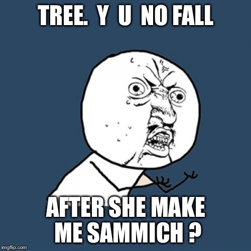 Y U No Meme | TREE.  Y  U  NO FALL AFTER SHE MAKE ME SAMMICH ? | image tagged in memes,y u no | made w/ Imgflip meme maker