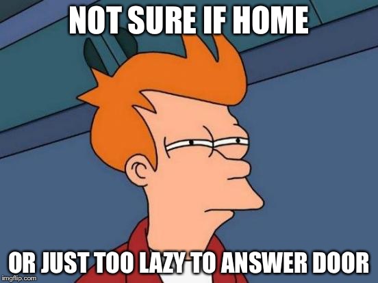 Futurama Fry Meme | NOT SURE IF HOME OR JUST TOO LAZY TO ANSWER DOOR | image tagged in memes,futurama fry | made w/ Imgflip meme maker