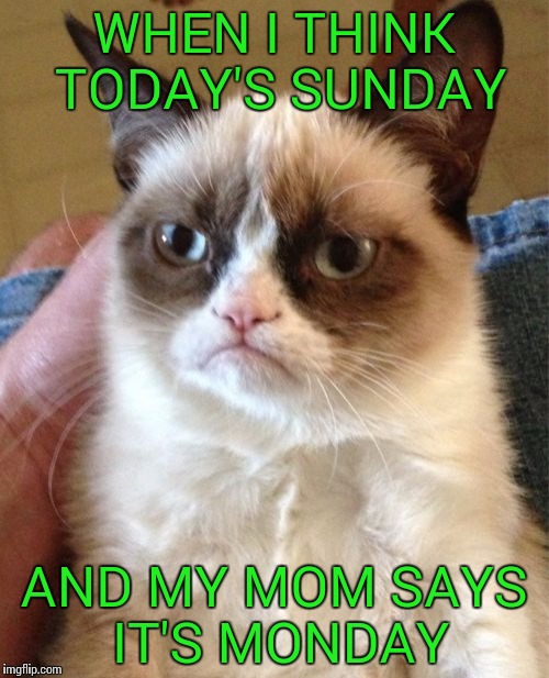 Grumpy Cat | WHEN I THINK TODAY'S SUNDAY AND MY MOM SAYS IT'S MONDAY | image tagged in memes,grumpy cat | made w/ Imgflip meme maker