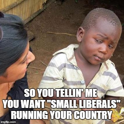 Third World Skeptical Kid Meme | SO YOU TELLIN' ME YOU WANT "SMALL LIBERALS" RUNNING YOUR COUNTRY | image tagged in memes,third world skeptical kid | made w/ Imgflip meme maker