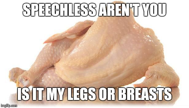 sexy chicken | SPEECHLESS AREN'T YOU IS IT MY LEGS OR BREASTS | image tagged in sexy chicken | made w/ Imgflip meme maker