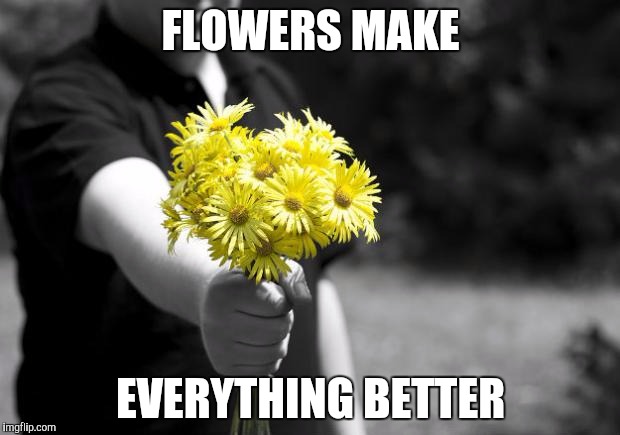 Giving flowers | FLOWERS MAKE EVERYTHING BETTER | image tagged in giving flowers | made w/ Imgflip meme maker