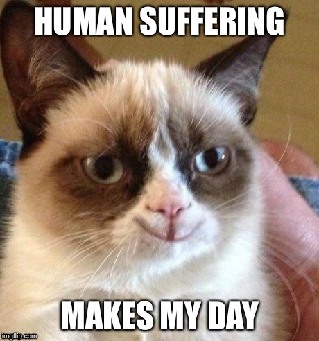 Grumpy smile | HUMAN SUFFERING MAKES MY DAY | image tagged in grumpy smile | made w/ Imgflip meme maker