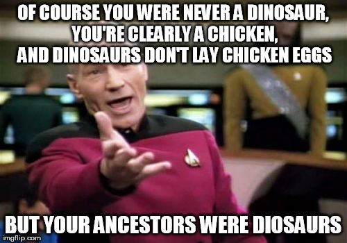 Picard Wtf Meme | OF COURSE YOU WERE NEVER A DINOSAUR, YOU'RE CLEARLY A CHICKEN, AND DINOSAURS DON'T LAY CHICKEN EGGS BUT YOUR ANCESTORS WERE DIOSAURS | image tagged in memes,picard wtf | made w/ Imgflip meme maker