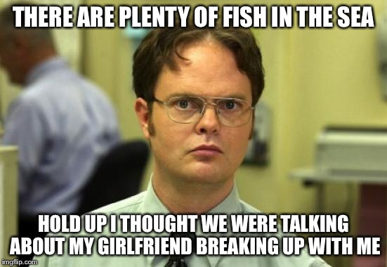 Dwight Schrute Meme | THERE ARE PLENTY OF FISH IN THE SEA HOLD UP I THOUGHT WE WERE TALKING ABOUT MY GIRLFRIEND BREAKING UP WITH ME | image tagged in memes,dwight schrute | made w/ Imgflip meme maker