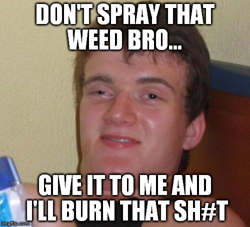 10 Guy Meme | DON'T SPRAY THAT WEED BRO... GIVE IT TO ME AND I'LL BURN THAT SH#T | image tagged in memes,10 guy | made w/ Imgflip meme maker
