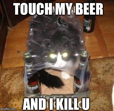 TOUCH MY BEER AND I KILL U | image tagged in beer,cat,evil | made w/ Imgflip meme maker