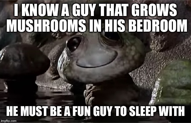 Mushroom man sees you | I KNOW A GUY THAT GROWS MUSHROOMS IN HIS BEDROOM HE MUST BE A FUN GUY TO SLEEP WITH | image tagged in mushroom man sees you | made w/ Imgflip meme maker