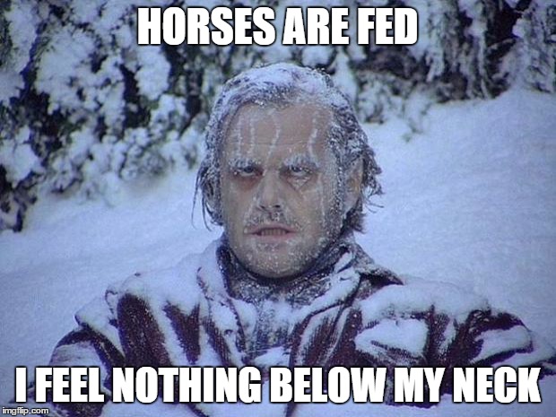 Jack Nicholson The Shining Snow | HORSES ARE FED I FEEL NOTHING BELOW MY NECK | image tagged in memes,jack nicholson the shining snow | made w/ Imgflip meme maker