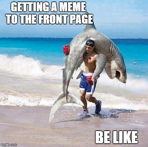 Holding your breath and going 15 rounds underwater with a great white shark using sparring gloves | GETTING A MEME TO THE FRONT PAGE BE LIKE | image tagged in memes,front page,meme | made w/ Imgflip meme maker