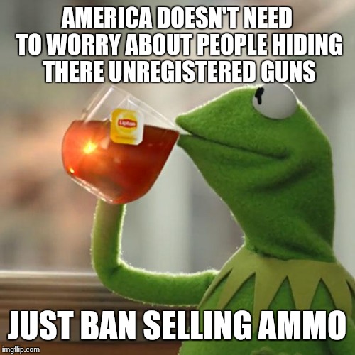 But That's None Of My Business | AMERICA DOESN'T NEED TO WORRY ABOUT PEOPLE HIDING THERE UNREGISTERED GUNS JUST BAN SELLING AMMO | image tagged in memes,but thats none of my business,kermit the frog | made w/ Imgflip meme maker