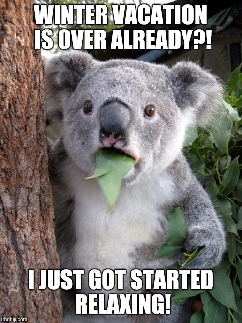 Surprised Koala Meme | WINTER VACATION IS OVER ALREADY?! I JUST GOT STARTED RELAXING! | image tagged in memes,surprised koala | made w/ Imgflip meme maker