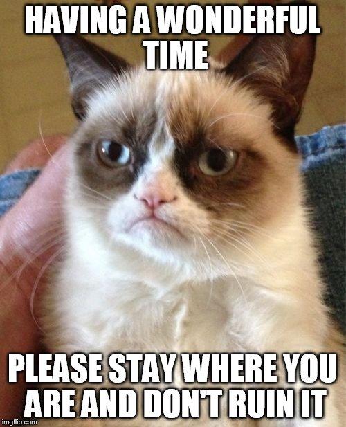 Grumpy Cat Meme | HAVING A WONDERFUL TIME PLEASE STAY WHERE YOU ARE AND DON'T RUIN IT | image tagged in memes,grumpy cat | made w/ Imgflip meme maker