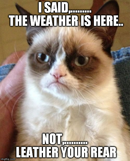 Grumpy Cat Meme | I SAID,......... THE WEATHER IS HERE.. NOT,.......... LEATHER YOUR REAR | image tagged in memes,grumpy cat | made w/ Imgflip meme maker