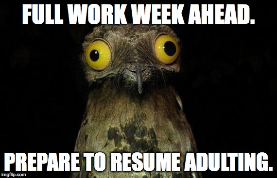 Weird Stuff I Do Potoo | FULL WORK WEEK AHEAD. PREPARE TO RESUME ADULTING. | image tagged in memes,weird stuff i do potoo | made w/ Imgflip meme maker