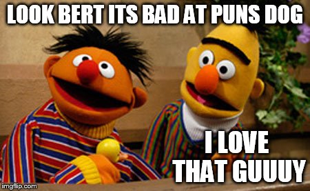 bert and ernie | LOOK BERT ITS BAD AT PUNS DOG I LOVE THAT GUUUY | image tagged in bert and ernie | made w/ Imgflip meme maker